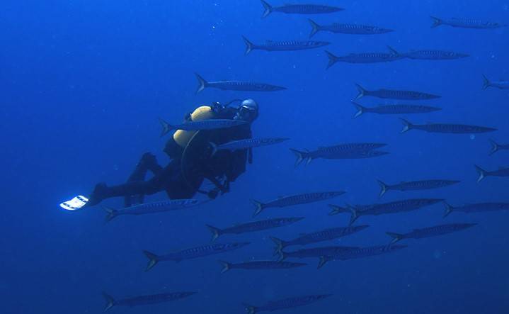 Foto: Divers Cabo de Palos