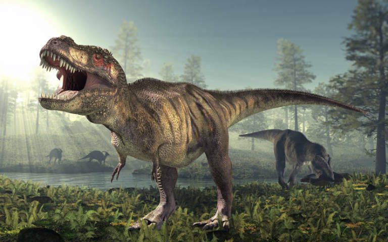 Identifican en Caravaca de la Cruz un cambio climático previo a la extinción  de los dinosaurios - Murciaplaza