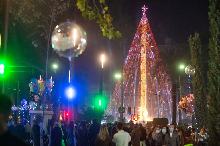 El Ayuntamiento de Murcia instalará 70 árboles en los barrios y pedanías  para acercar la Navidad - Murciaplaza
