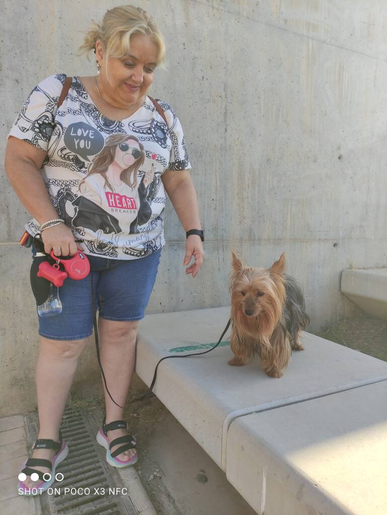 Éxito del taller de adiestramiento canino en Murcia: 25 perros y sus dueños aprenden cómo actuar en la vía pública Murciaplaza