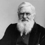 Alfred Russel Wallace. Foto: BBC