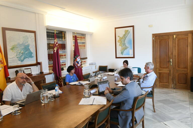 Reunión del Comité Ejecutivo. Foto: M. C. T.