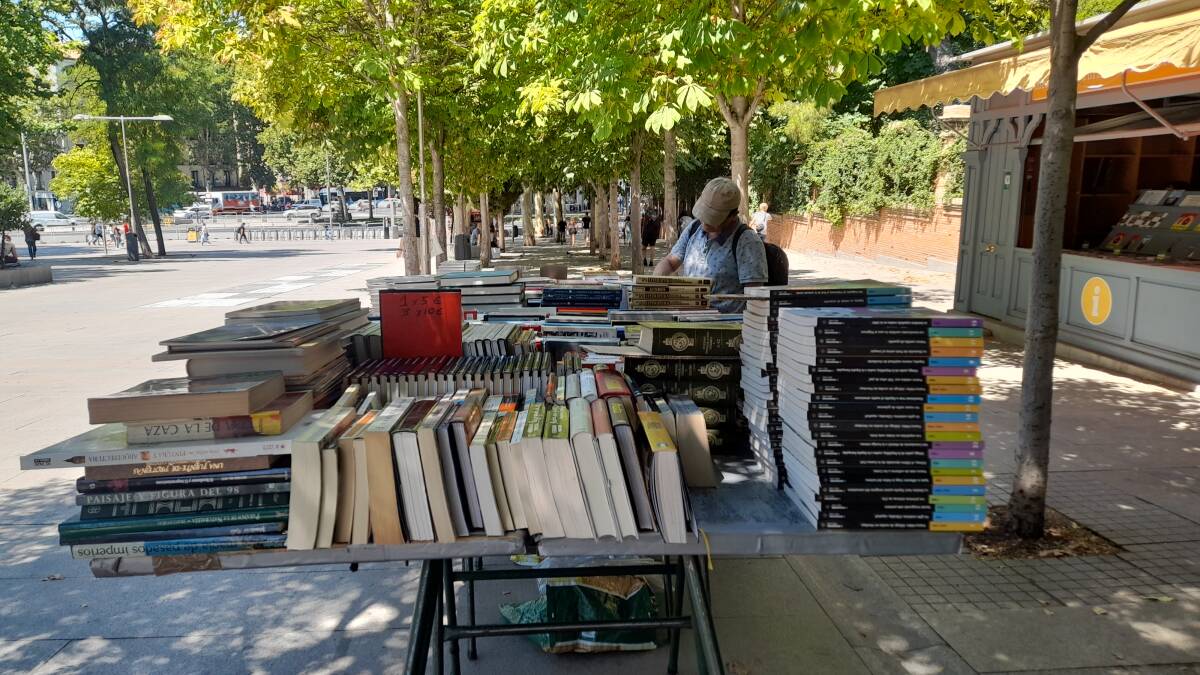 Un hombre hojea un libro en un puesto de la cuesta de Moyano.