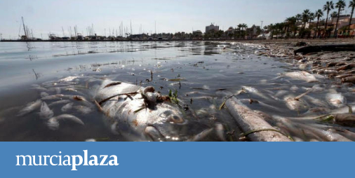 The EU allocates four million to a project in the Mar Menor that will be able to predict episodes of anoxia