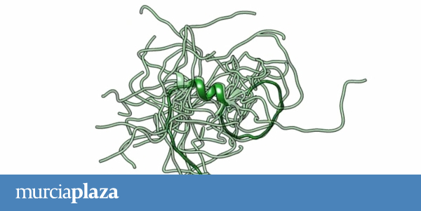 Investigadores Del CSIC Descubren Un Mecanismo Molecular Que Podría ...