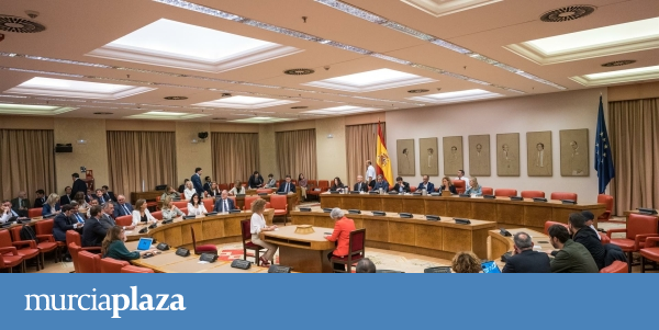 El Congreso Convalidará El último Decreto Anticrisis Después De Las ...